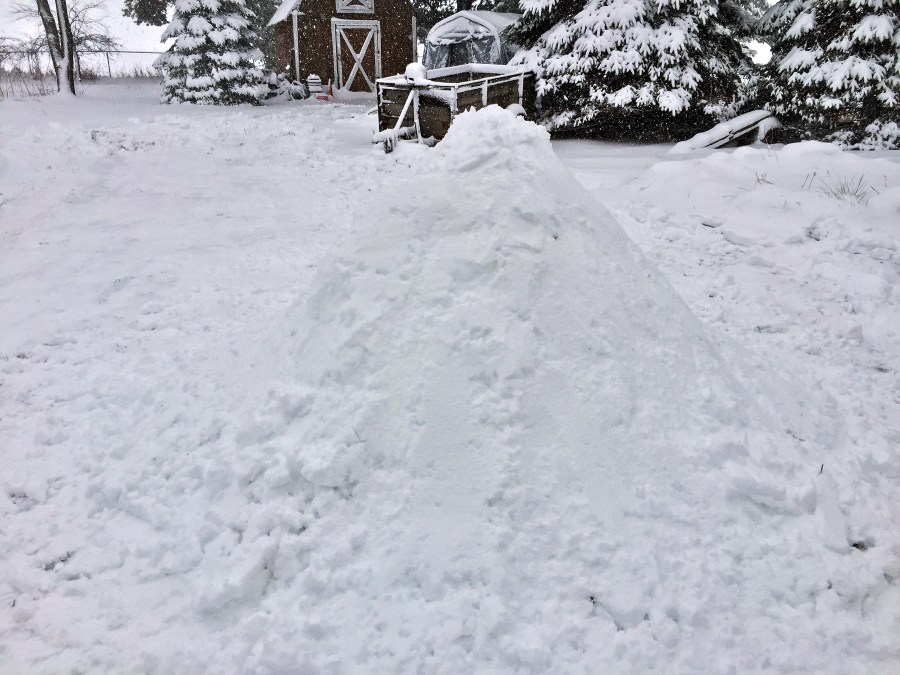 Laos Black #05 (Steepster) ~ K2A