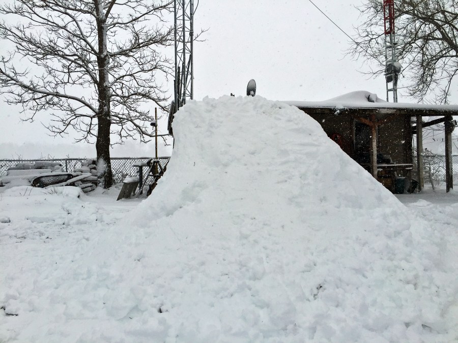 Laos Black #05 (Steepster) ~ K2B