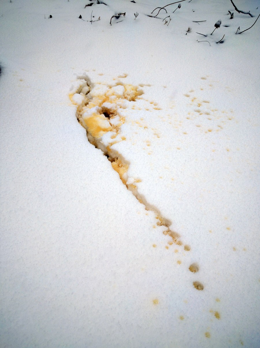 <a rel="license" href="http://creativecommons.org/licenses/by-sa/4.0/"><img alt="Creative Commons License" style="border-width:0" src="https://i.creativecommons.org/l/by-sa/4.0/88x31.png" /></a><br /><span xmlns:dct="http://purl.org/dc/terms/" href="http://purl.org/dc/dcmitype/StillImage" property="dct:title" rel="dct:type">Laos Black #05 (Steepster) ~ liquor B (nexus)</span> by <a xmlns:cc="http://creativecommons.org/ns#" href="http://parting.gifts" property="cc:attributionName" rel="cc:attributionURL">jocilyn mors</a> is licensed under a <a rel="license" href="http://creativecommons.org/licenses/by-sa/4.0/">Creative Commons Attribution-ShareAlike 4.0 International License</a>.