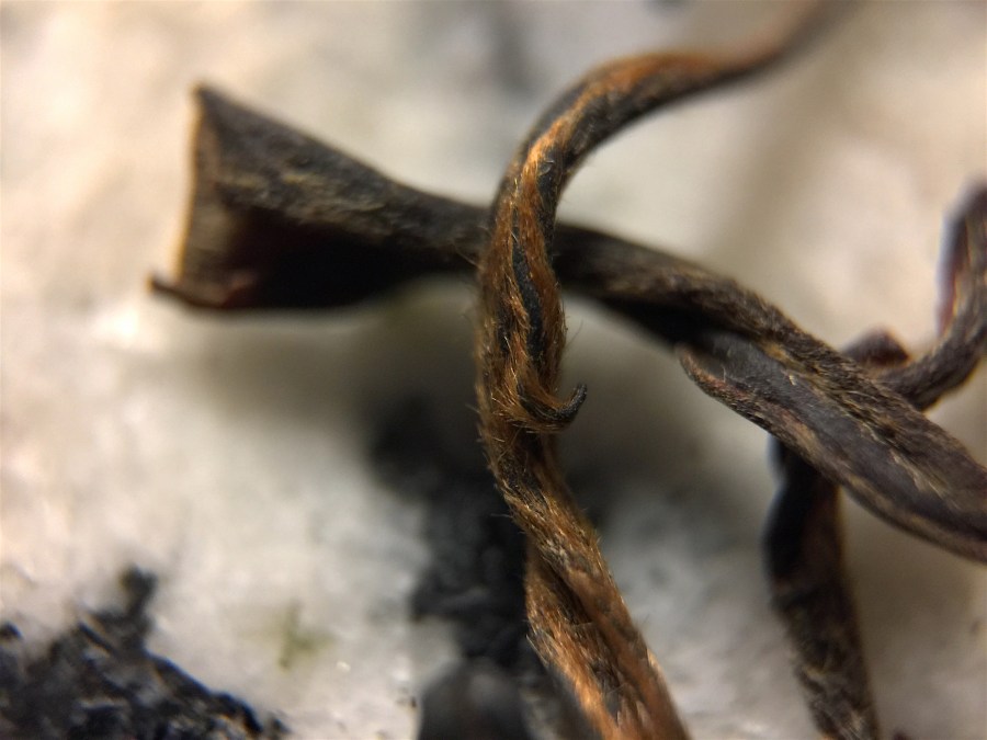 <a rel="license" href="http://creativecommons.org/licenses/by-sa/4.0/"><img alt="Creative Commons License" style="border-width:0" src="https://i.creativecommons.org/l/by-sa/4.0/88x31.png" /></a><br /><span xmlns:dct="http://purl.org/dc/terms/" href="http://purl.org/dc/dcmitype/StillImage" property="dct:title" rel="dct:type">Nepal Black (DavidsTea) ~ loose leaf macro</span> by <a xmlns:cc="http://creativecommons.org/ns#" href="http://parting.gifts" property="cc:attributionName" rel="cc:attributionURL">jocilyn mors</a> is licensed under a <a rel="license" href="http://creativecommons.org/licenses/by-sa/4.0/">Creative Commons Attribution-ShareAlike 4.0 International License</a>.