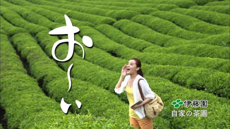 Image Copyright unknown, but i'd be embarrassed if i owned it.