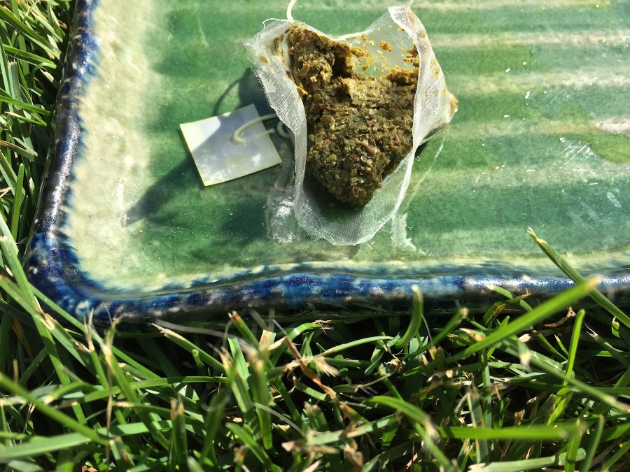 Wadmalaw Island Green (Charleston Tea Planation) ~ spent by Jocilyn Mors is licensed under a Creative Commons Attribution-ShareAlike 4.0 International License.