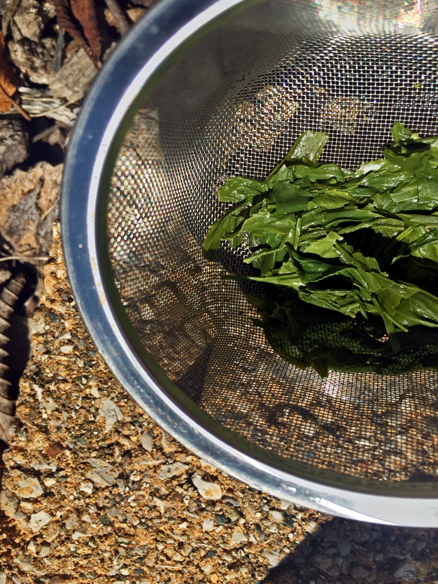 Shincha Tamagawa (Kilogram) ~ spent A by Jocilyn Mors is licensed under a Creative Commons Attribution-ShareAlike 4.0 International License.