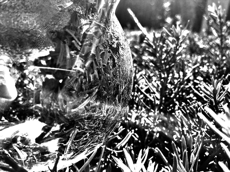 Shincha Tamagawa (Kilogram) ~ spent C by Jocilyn Mors is licensed under a Creative Commons Attribution-ShareAlike 4.0 International License.