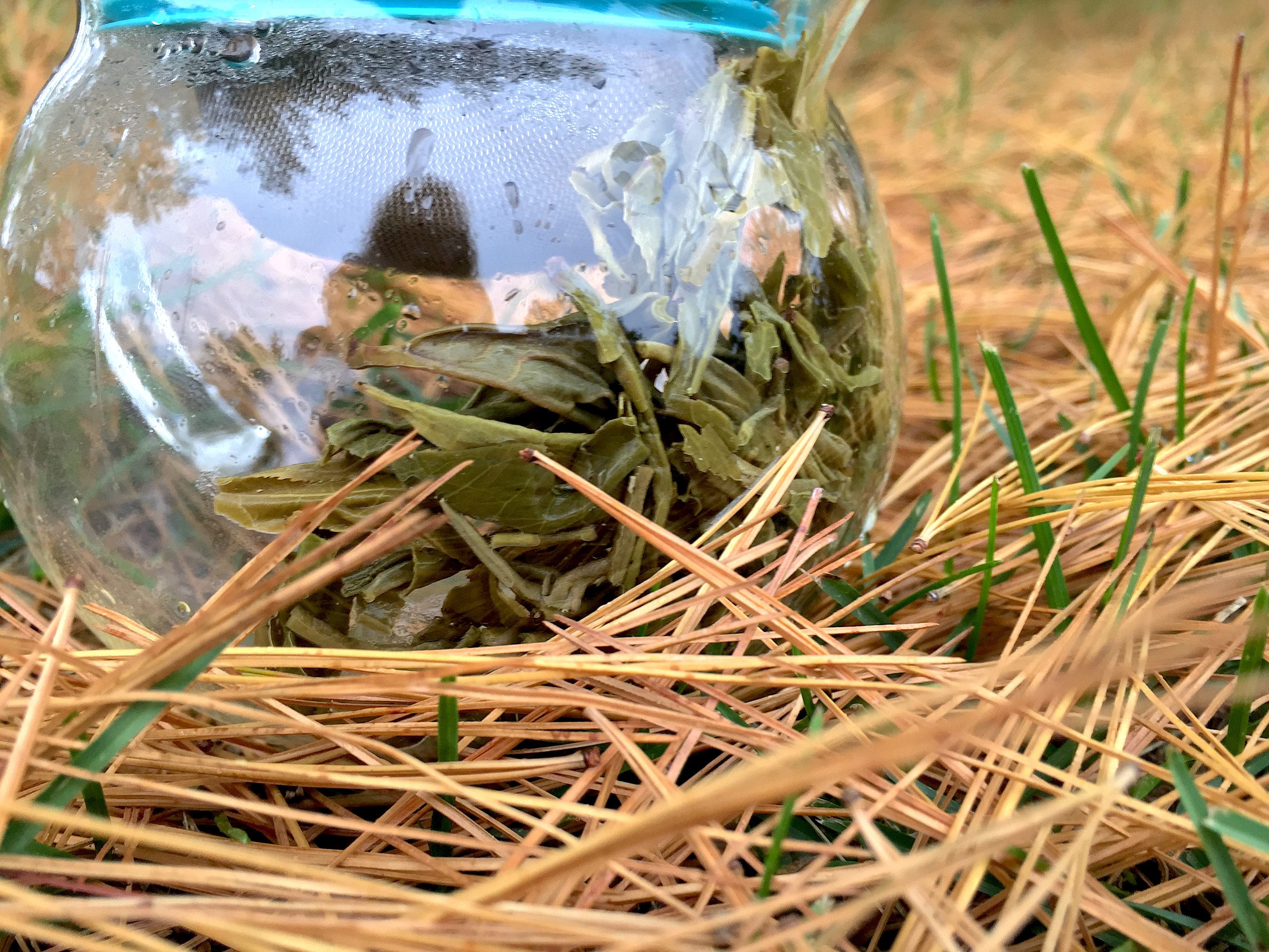 Lin Yun Downy (S&V) ~ spent by Jocilyn Mors is licensed under a Creative Commons Attribution-ShareAlike 4.0 International License.