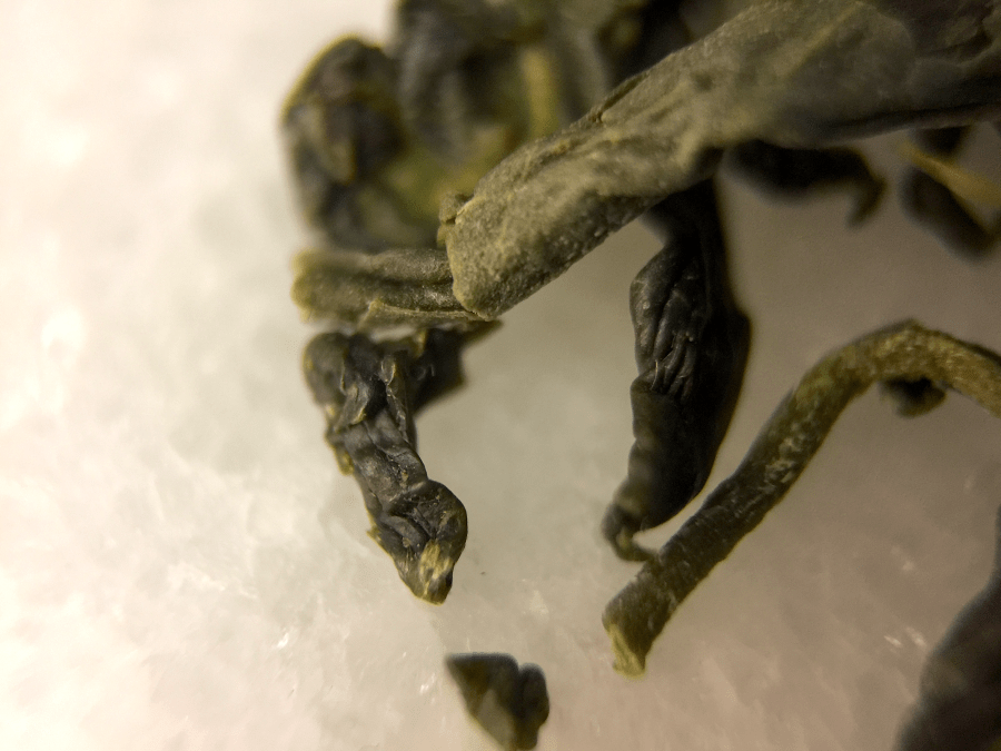 Blowup Photograph of Korea Sejak (Arbor Teas) ~ loose leaf macro 21x by Jocilyn Mors is licensed under a Creative Commons Attribution-NonCommercial-ShareAlike 4.0 International License.