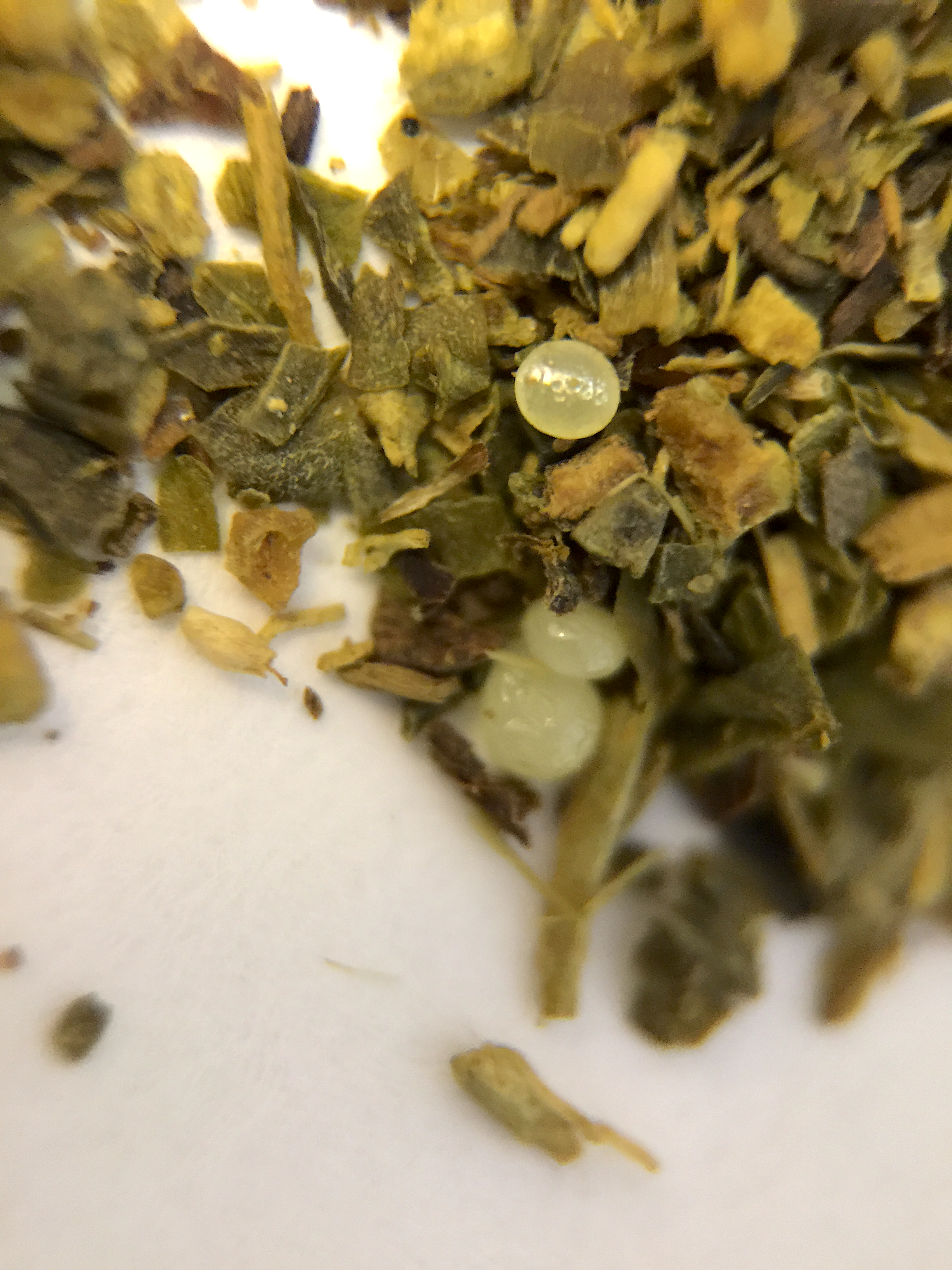 Matcha Maker (Good Earth) ~ CTC Macro by Jocilyn Mors is licensed under a Creative Commons Attribution-ShareAlike 4.0 International License.