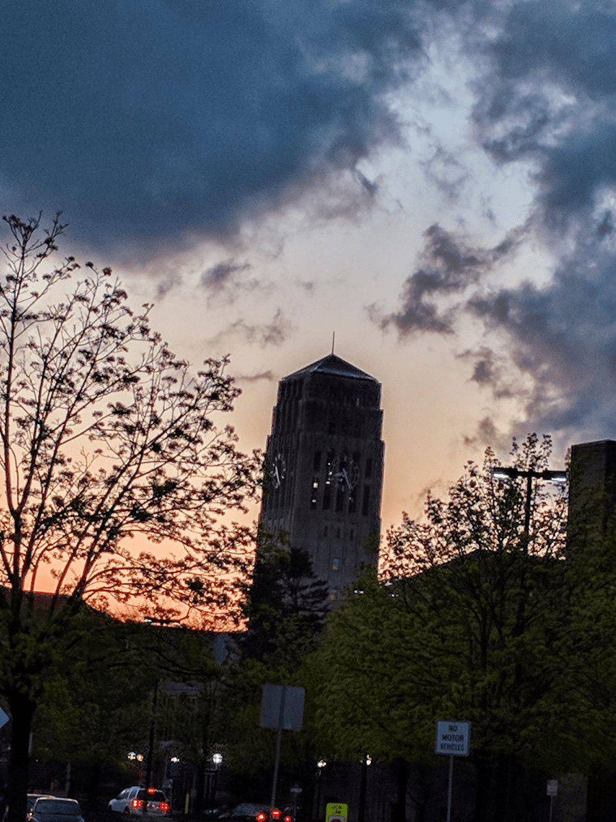 Image of Sakurambo (Lupicia) ~ framed by Jocilyn Mors is licensed under a Creative Commons Attribution-NonCommercial-ShareAlike 4.0 International License.