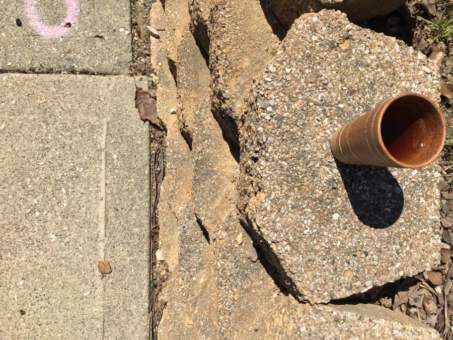 Image of Sakurambo (Lupicia) ~ liquor B by Jocilyn Mors is licensed under a Creative Commons Attribution-NonCommercial-ShareAlike 4.0 International License.