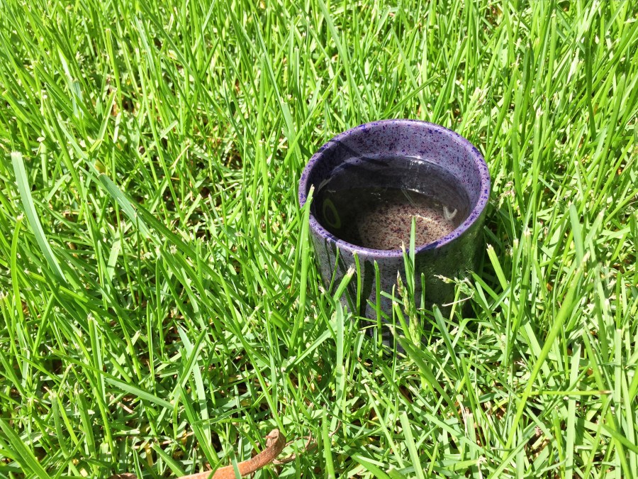 Photograph of Hawaiian Green Reserve (Eli) ~ tea liquor by Jocilyn Mors is licensed under a Creative Commons Attribution-NonCommercial-ShareAlike 4.0 International License.