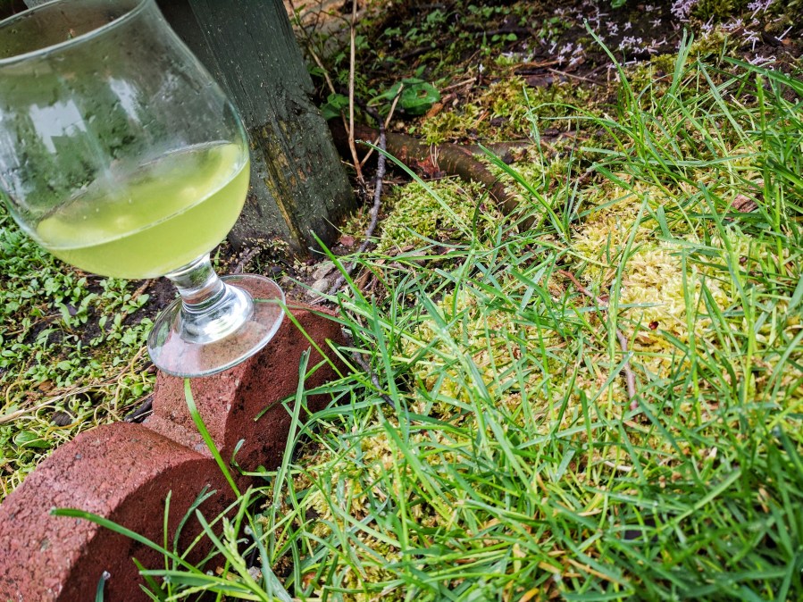 Photograph of Konacha Gyokuro Super Premium (Hibiki-an) ~ liquor B by Jocilyn Mors is licensed under a Creative Commons Attribution-NonCommercial-ShareAlike 4.0 International License.