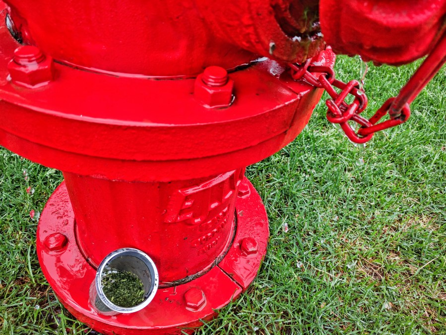 Photograph of Konacha Gyokuro Super Premium (Hibiki-an) ~ spent by Jocilyn Mors is licensed under a Creative Commons Attribution-NonCommercial-ShareAlike 4.0 International License.