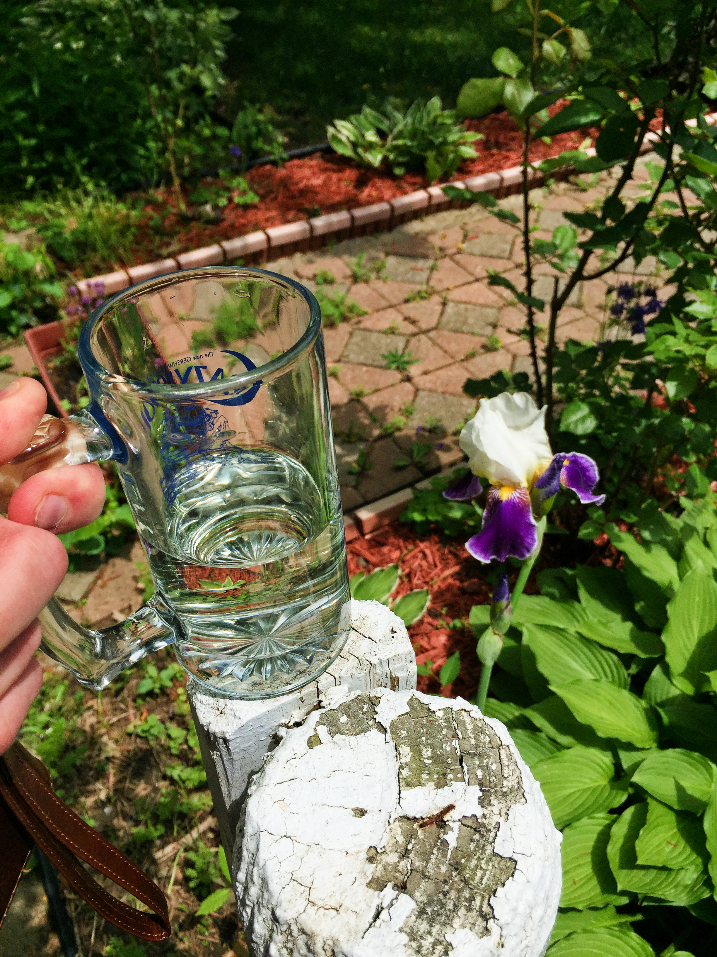 Photograph of Silver Bud Ya Bao (Tea Source) ~ liquor by Jocilyn Mors is licensed under a Creative Commons Attribution-NonCommercial-ShareAlike 4.0 International License.