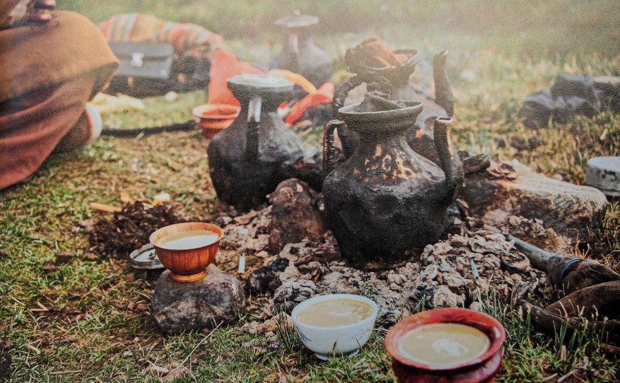 Image reproduced without permission. Copyright 2016 Firefly Books.