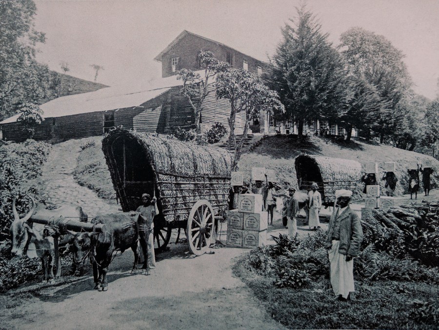 Image reproduced without permission. Copyright 2016 Firefly Books.