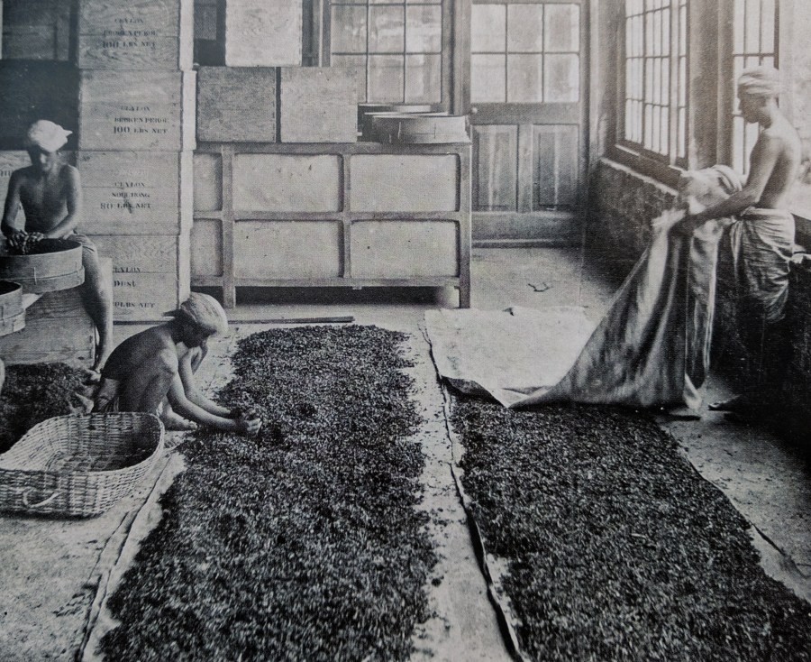 Image reproduced without permission. Copyright 2016 Firefly Books.