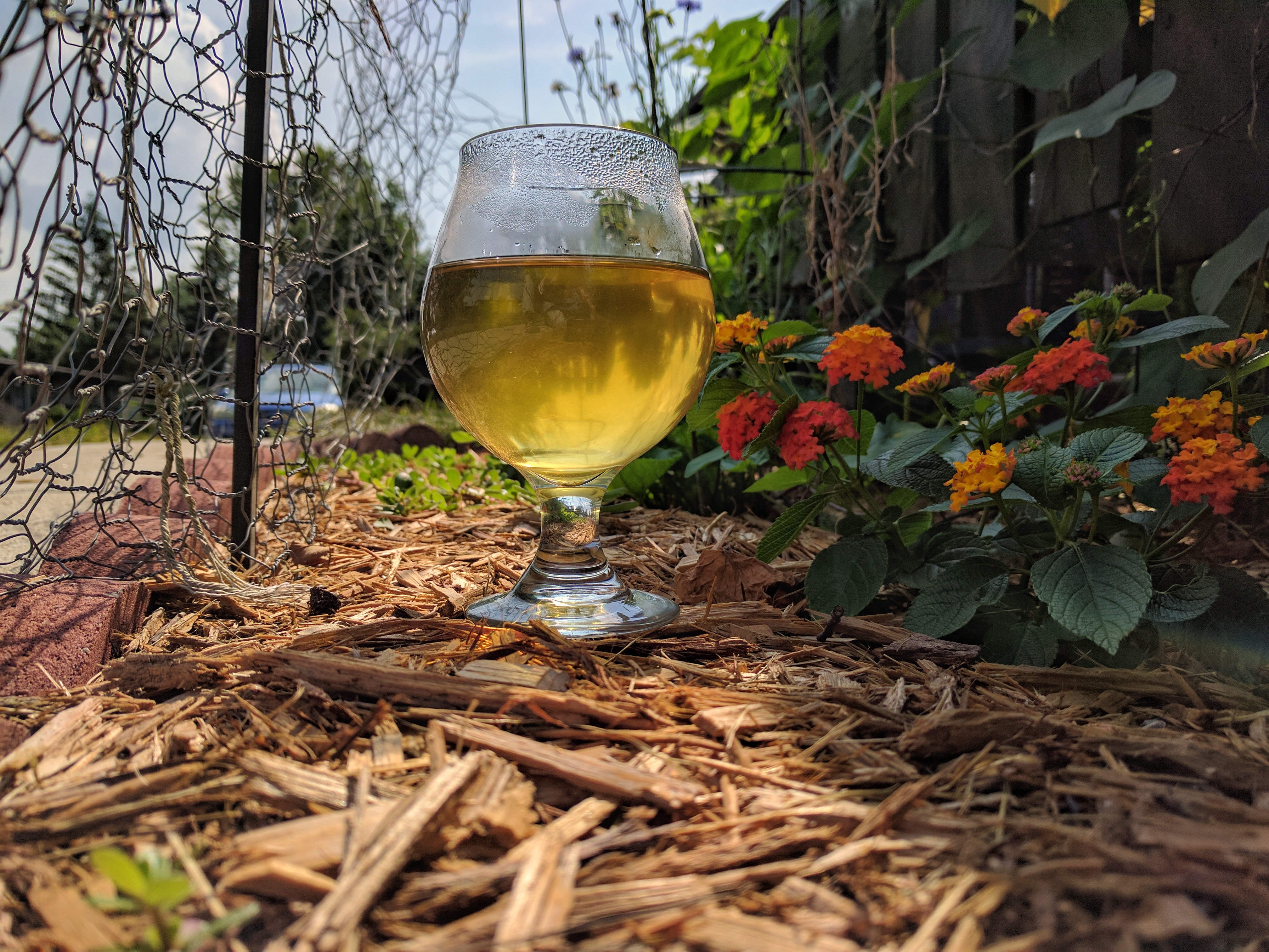 Photograph of Decaf Ginger Lemon ~ liquor by Jocilyn Mors is licensed under a Creative Commons Attribution-NonCommercial-ShareAlike 4.0 International License.