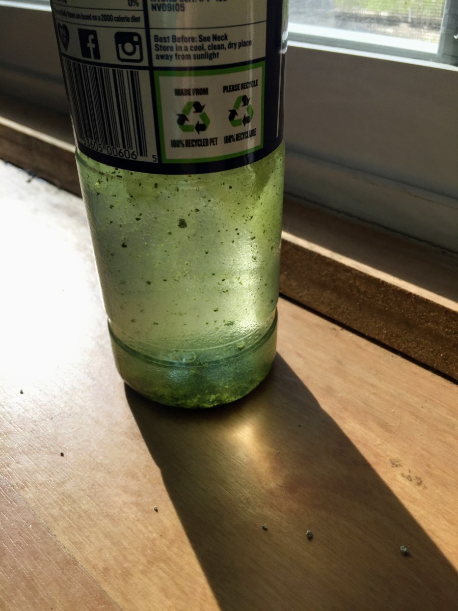 Organic U•Matcha Single Sips (Republic of Tea) ~ kitty litter comparison by Jocilyn Mors is licensed under a Creative Commons Attribution-NonCommercial-ShareAlike 4.0 International License.